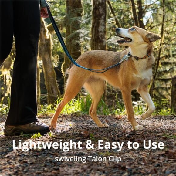 Roamer Bungee Dog Leash for Running, Biking or Hiking, Can be Used Hand-Held - Picture 5 of 7